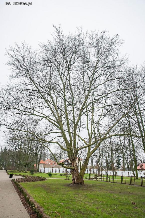 Park Wiosny Ludów w nowej odsłonie