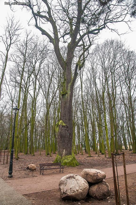 Park Wiosny Ludów w nowej odsłonie