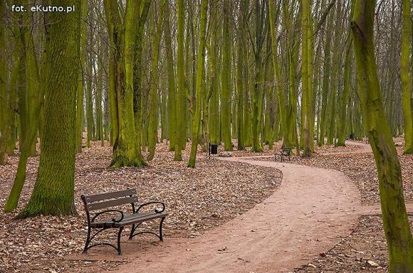 Park Wiosny Ludów w nowej odsłonie