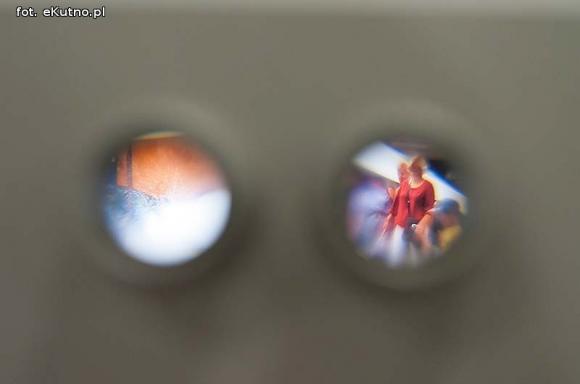 Odyseja Historyczna i mistrzostwa baseballu na wystawie Duma lokalna. Duma regionalna