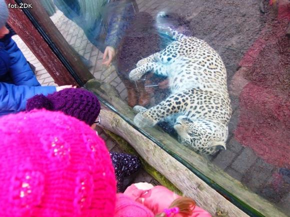 Magiczne zakończenie ferii w Żychlińskim Domu Kultury