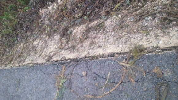 Czytelnicy piszą: Dlaczego starostwo pozwala na niszczenie nowych dróg?