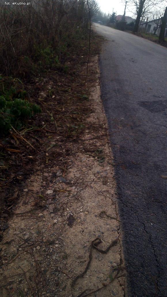 Czytelnicy piszą: Dlaczego starostwo pozwala na niszczenie nowych dróg?