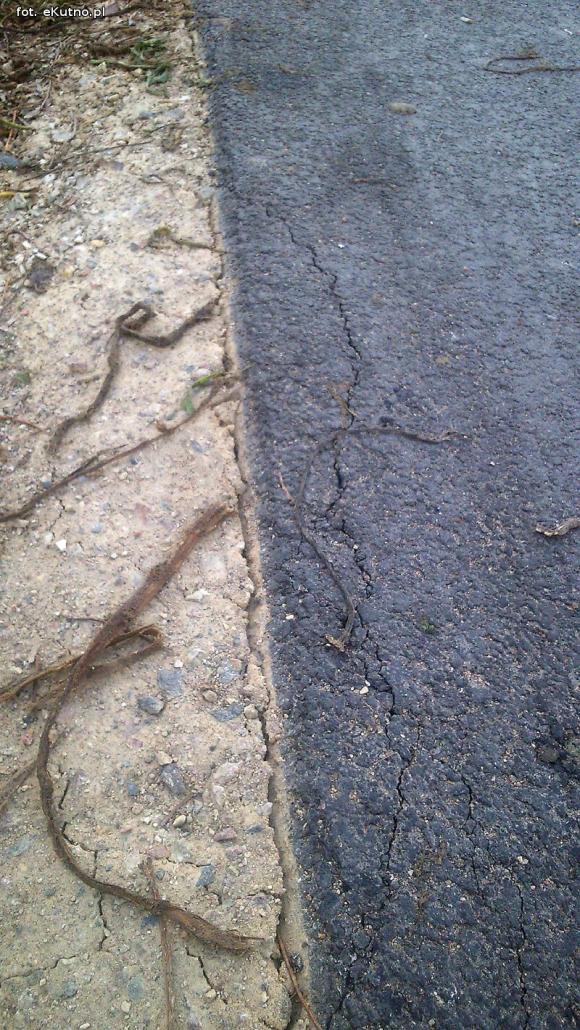 Czytelnicy piszą: Dlaczego starostwo pozwala na niszczenie nowych dróg?