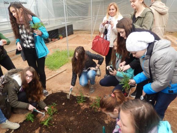 Turecka przygoda czyli Gimnazjum nr 1 realizuje projekt Erasmus +