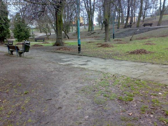 Sprawdzam. A inne lampy w parku?