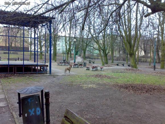 Sprawdzam. A inne lampy w parku?