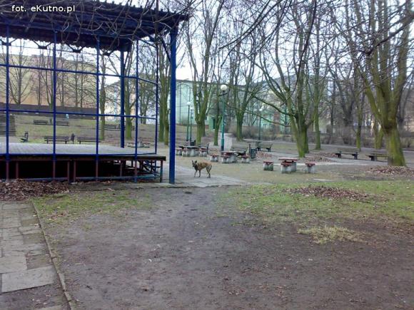 Sprawdzam. A inne lampy w parku?