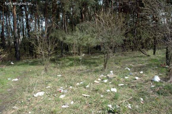 Miejskie obrazki. Przygotowania do sprzątania?