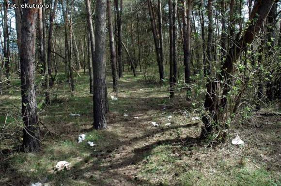 Miejskie obrazki. Przygotowania do sprzątania?