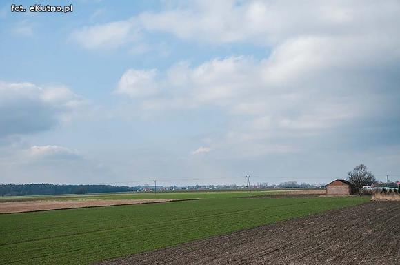 Walka z wiatrakami w gminie Krzyżanów