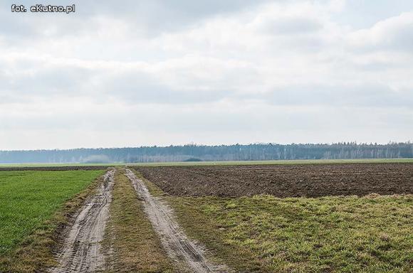 Walka z wiatrakami w gminie Krzyżanów
