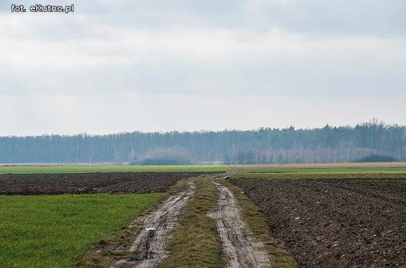 Walka z wiatrakami w gminie Krzyżanów