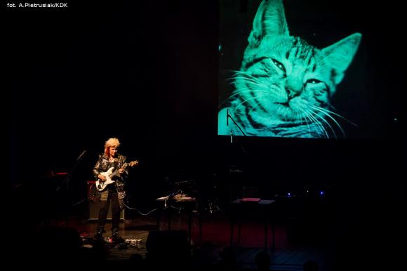 Fajerwerki muzyczne światowej gwiazdy