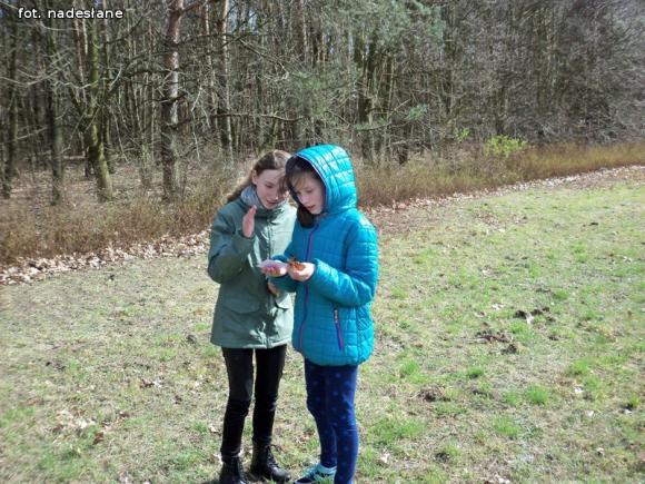 Szkoła Podstawowa z Gołębiewka w projekcie Zielone Szkoły w Parkach Narodowych