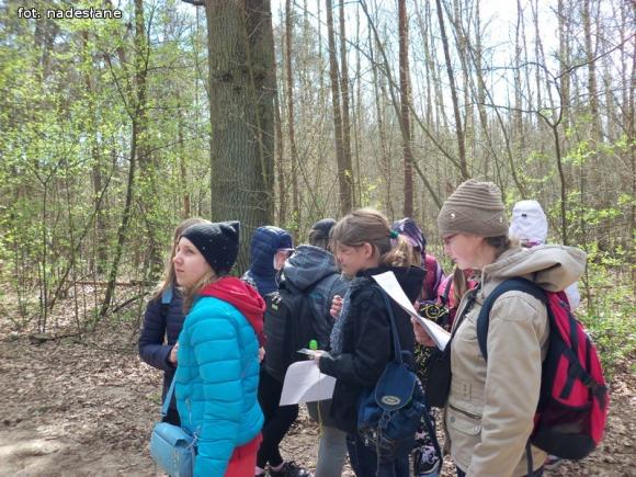 Szkoła Podstawowa z Gołębiewka w projekcie Zielone Szkoły w Parkach Narodowych