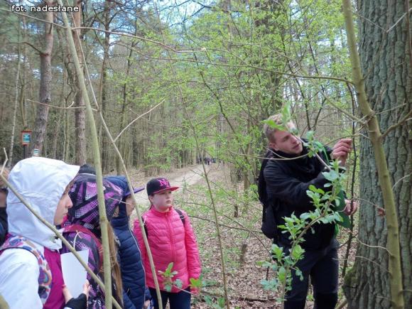 Szkoła Podstawowa z Gołębiewka w projekcie Zielone Szkoły w Parkach Narodowych