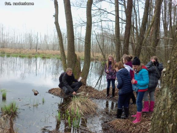 Szkoła Podstawowa z Gołębiewka w projekcie Zielone Szkoły w Parkach Narodowych