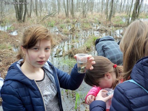 Szkoła Podstawowa z Gołębiewka w projekcie Zielone Szkoły w Parkach Narodowych