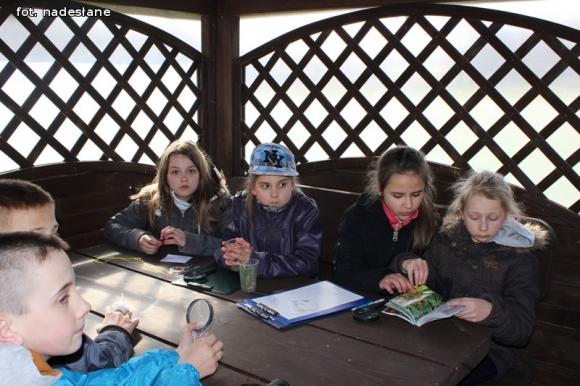 Szkoła Podstawowa z Gołębiewka w projekcie Zielone Szkoły w Parkach Narodowych