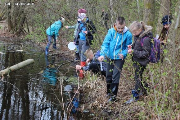 Szkoła Podstawowa z Gołębiewka w projekcie Zielone Szkoły w Parkach Narodowych
