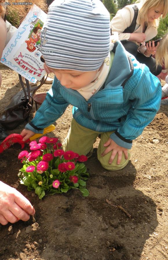Przyjaciele matki Ziemi z Kolorowego Świata w Bielawkach