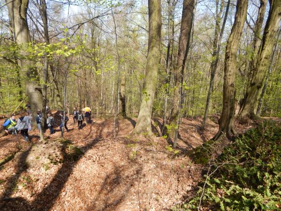 Terenowe warsztaty geograficzne