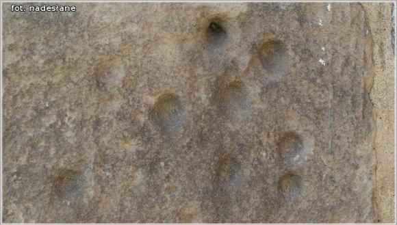 Relacja: Z wizytą u Boruty