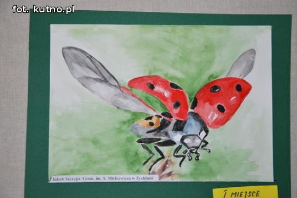 Laureaci konkursu plastycznego Świat w kolorach