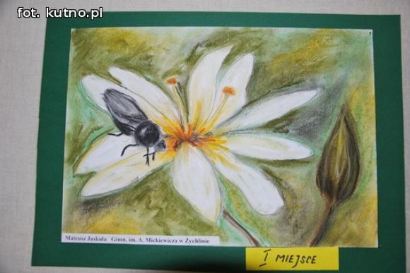 Laureaci konkursu plastycznego Świat w kolorach