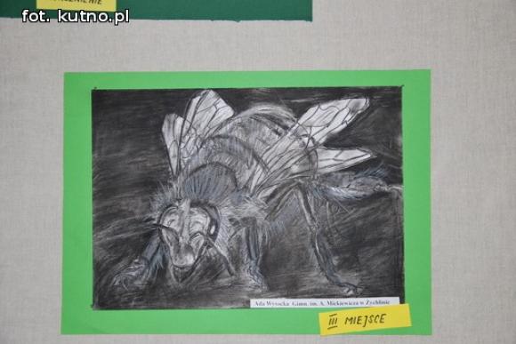 Laureaci konkursu plastycznego Świat w kolorach