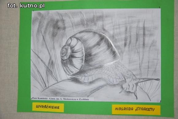 Laureaci konkursu plastycznego Świat w kolorach