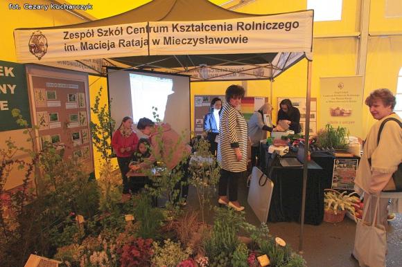 Od zabawy do nauki. Udany pierwszy Kutnowski Piknik Naukowy