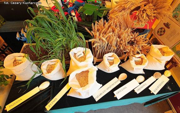 Od zabawy do nauki. Udany pierwszy Kutnowski Piknik Naukowy