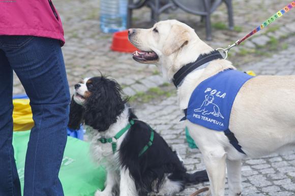 Dzień Godności w Kutnie (zdjęcia)