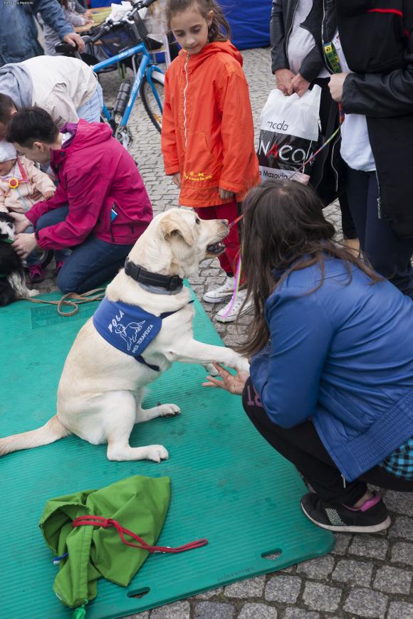 Dzień Godności w Kutnie (zdjęcia)