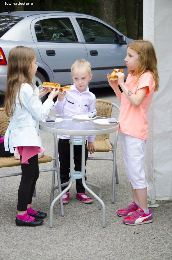 Piknik Rodzinny w Gołębiewku