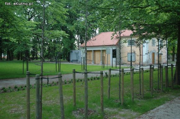 Czytelnicy pytają: Co się stało z drzewami w parku Wiosny Ludów?