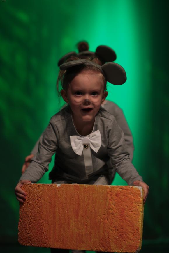 Pierwszy dzień Łapy za nami