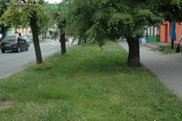 Miejskie obrazki. Koszenie w cenie