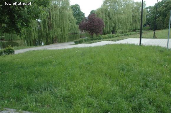 Miejskie obrazki. Koszenie w cenie