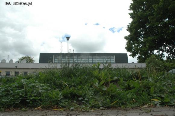 Miejskie obrazki. Koszenie w cenie