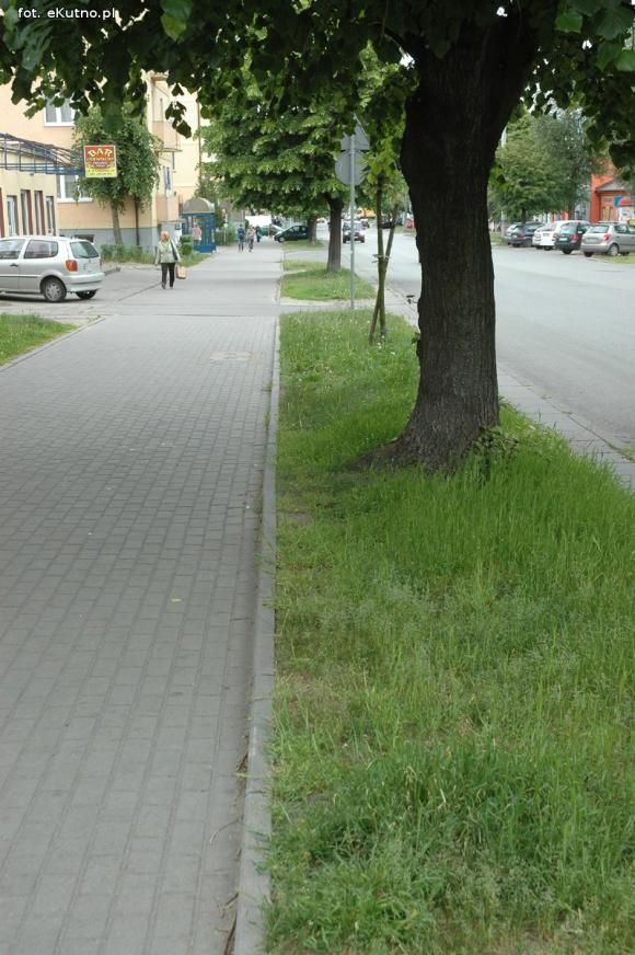 Miejskie obrazki. Koszenie w cenie