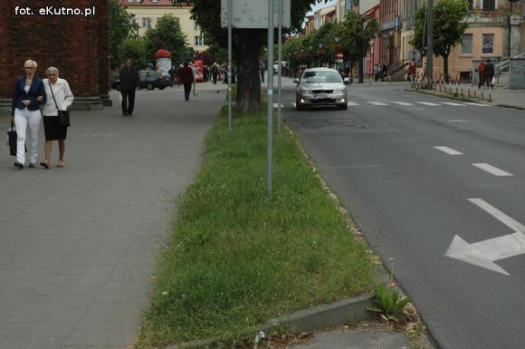 Miejskie obrazki. Koszenie w cenie