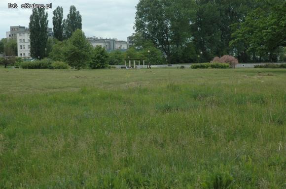 Miejskie obrazki. Koszenie w cenie