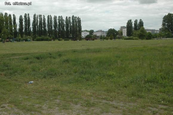 Miejskie obrazki. Koszenie w cenie