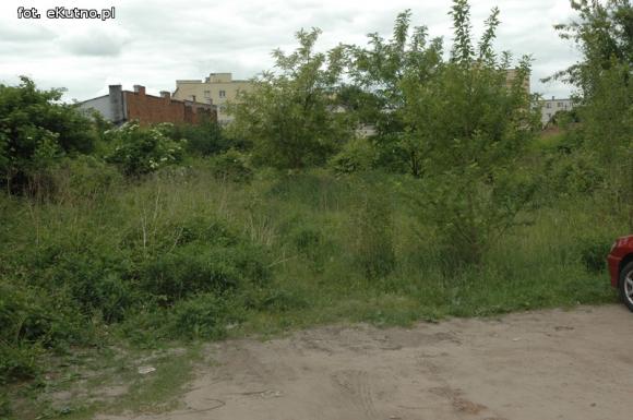 Miejskie obrazki. Koszenie w cenie