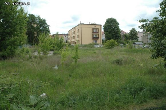 Miejskie obrazki. Koszenie w cenie