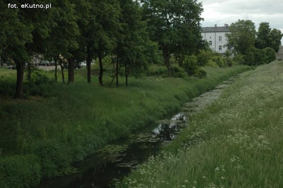 Miejskie obrazki. Koszenie w cenie
