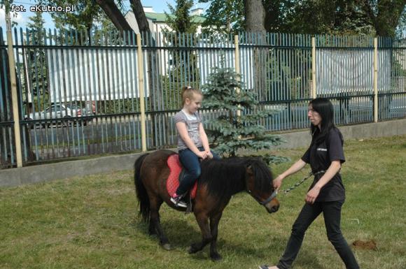 Zapraszamy na Rodzinny zawrót głowy. Atrakcje na miejskim stadionie